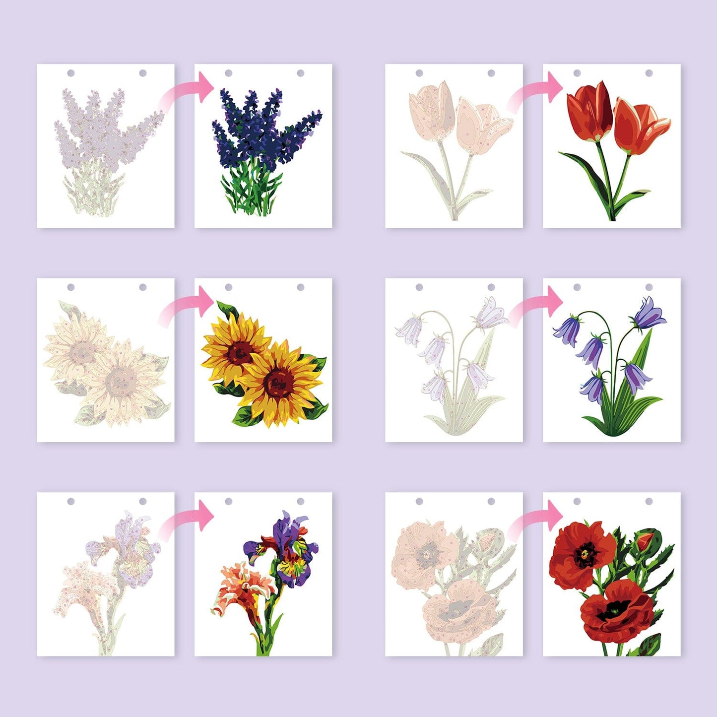 2026 Desk Calendar Series – Flowers /Paint by Numbers(18.2cm x 22.5cm)