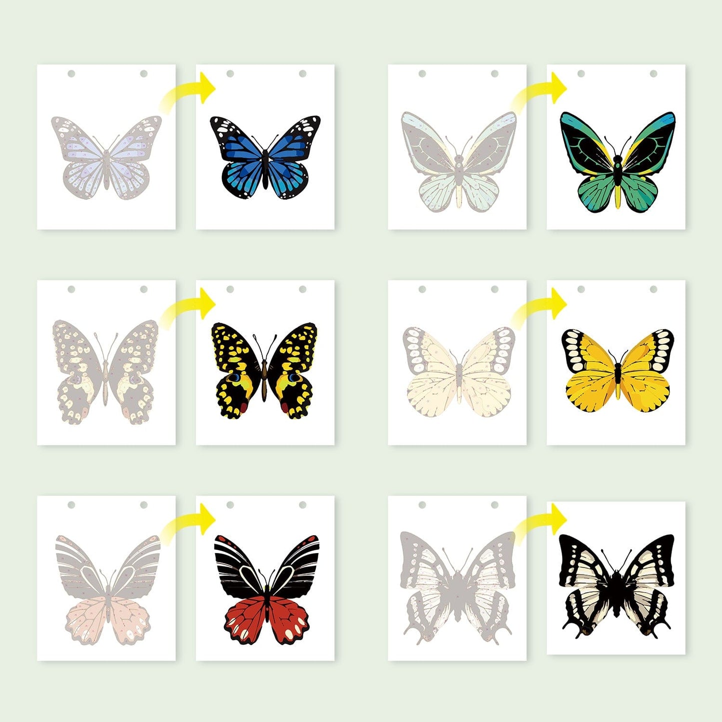 2026 Desk Calendar Series – Butterflies /Paint by Numbers(18.2cm x 22.5cm)