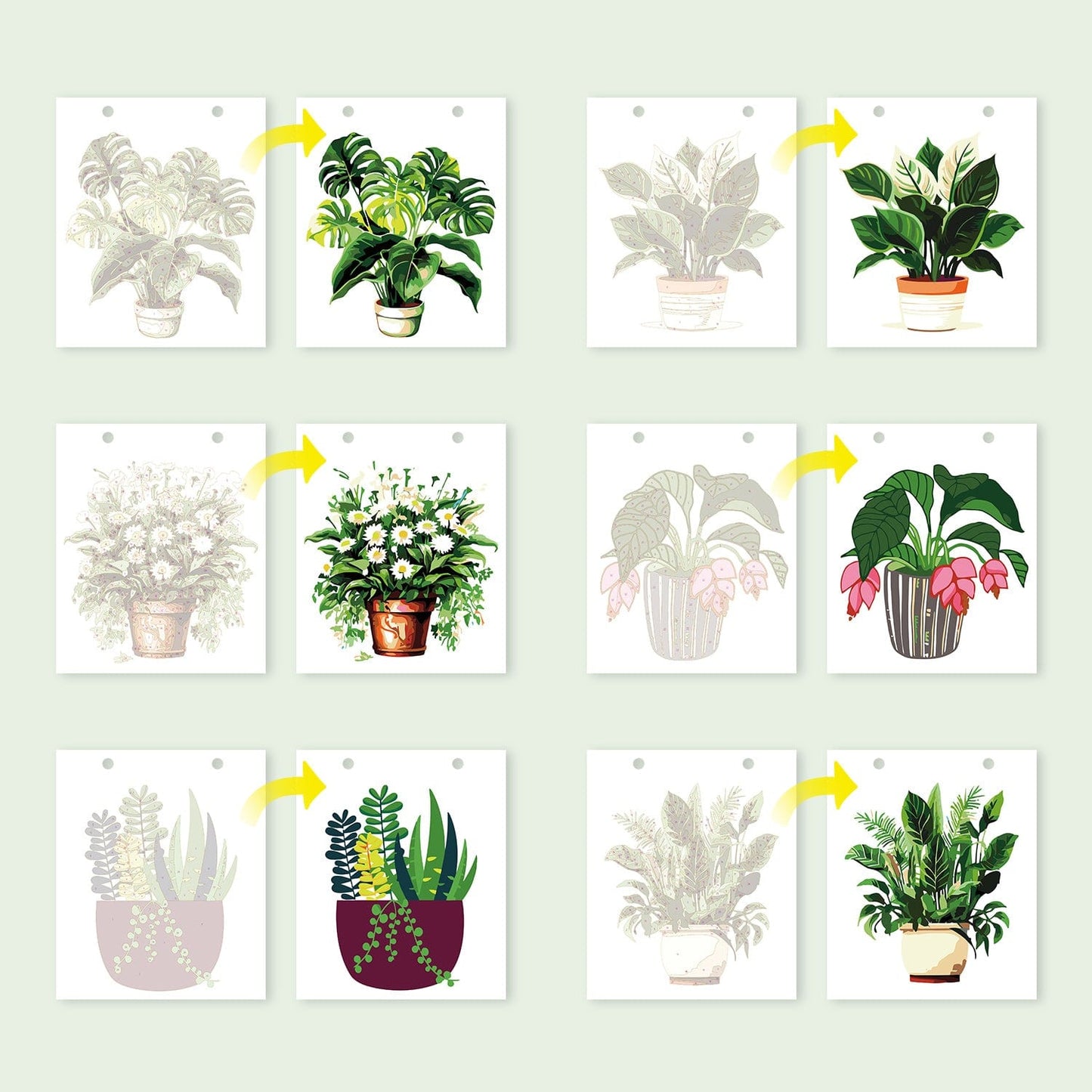 2026 Desk Calendar Series – Plants /Paint by Numbers(18.2cm x 22.5cm)