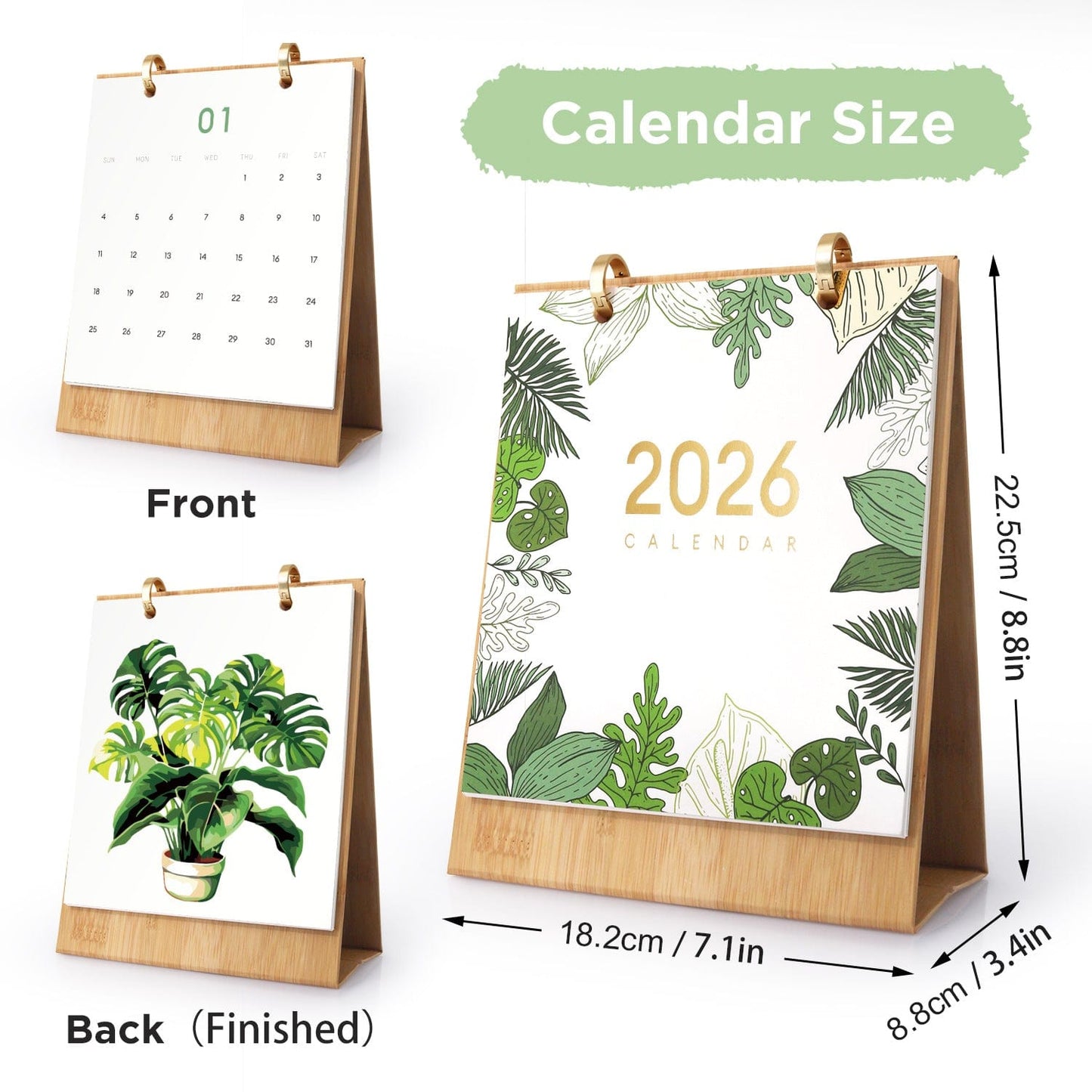 2026 Desk Calendar Series – Plants /Paint by Numbers(18.2cm x 22.5cm)