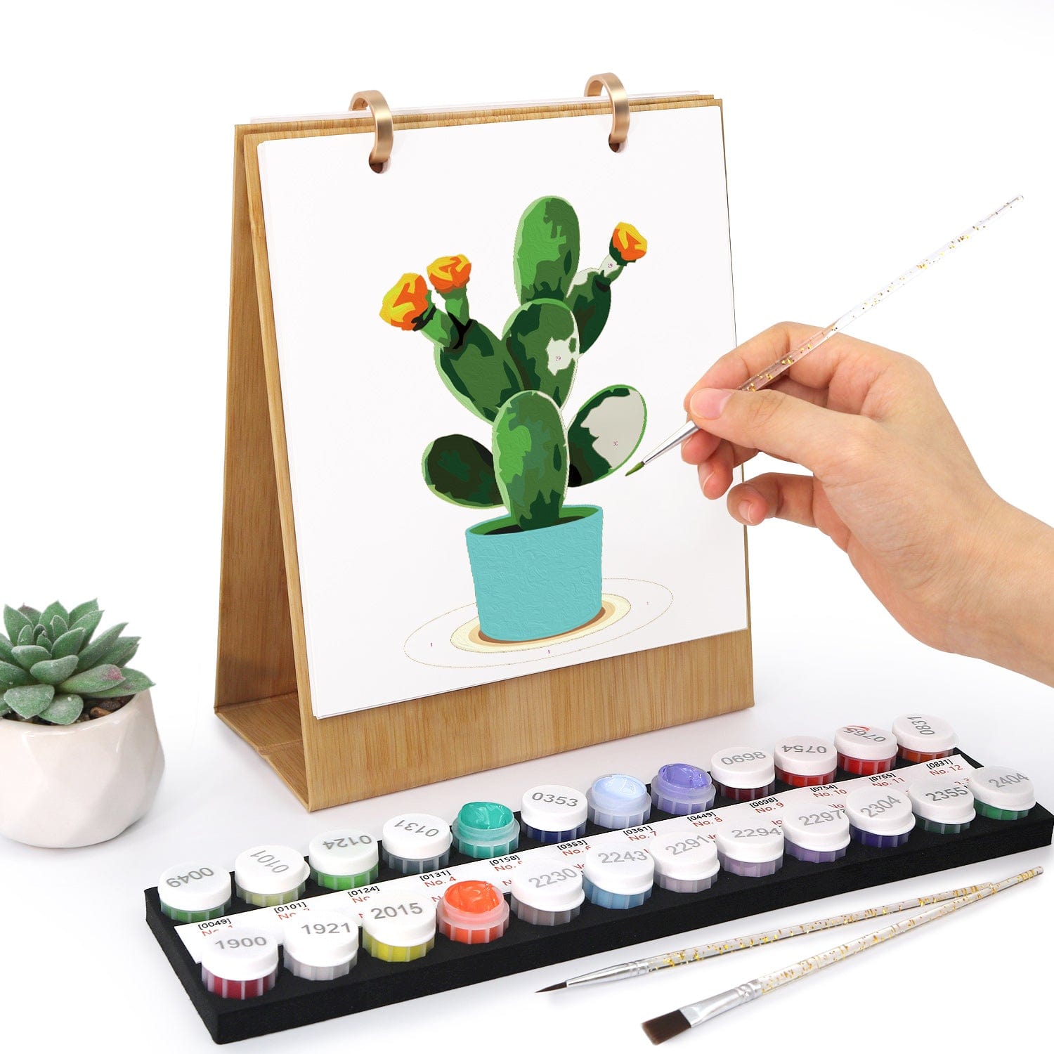 succulent desk calendar 2026 Desk Calendar Series – Plants /Paint by Numbers(18.2cm x 22.5cm) – DIYArtCool