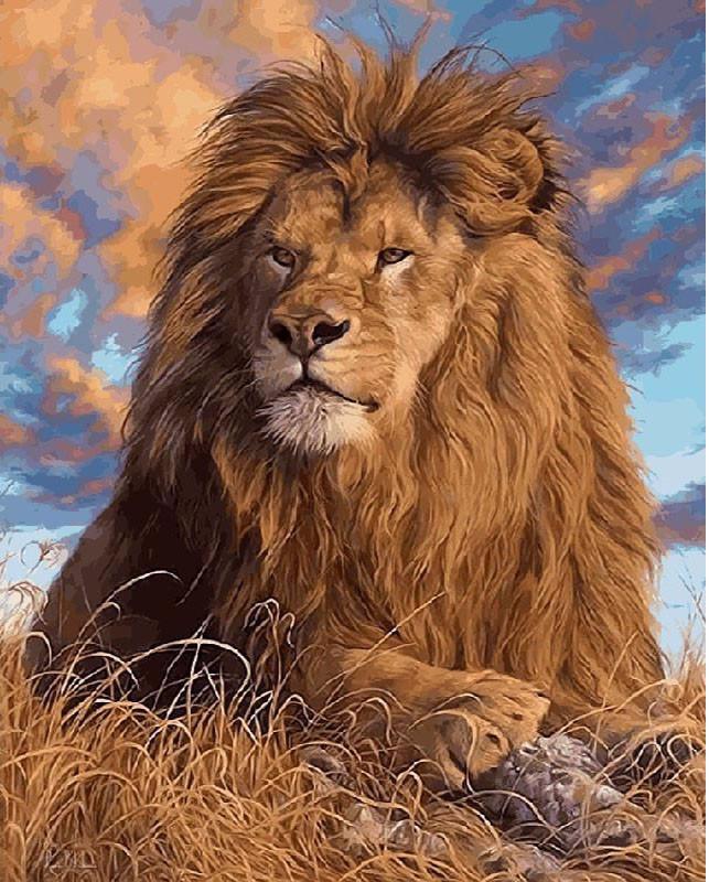 ArtVibe™ DIY Painting By Numbers - Lion King (16"x20" / 40x50cm) - ArtVibe Paint by Numbers