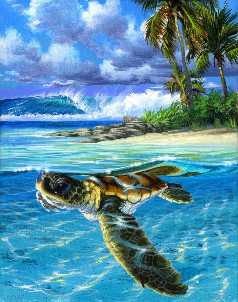 Dive into the Ocean's Wonders with ArtVibe™ DIY Painting By Numbers - Sea Turtle (16"x20" / 40x50cm), A Soothing and Inspiring Art Journey - ArtVibe Paint by Numbers