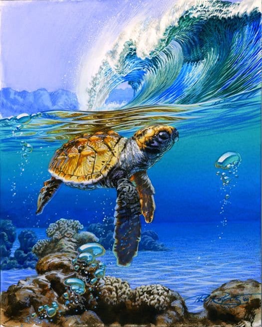 Dive into the Ocean's Wonders with ArtVibe™ DIY Painting By Numbers - Sea Turtle (16"x20" / 40x50cm), A Soothing and Inspiring Art Journey - ArtVibe Paint by Numbers