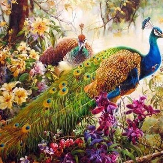 Embrace Your Inner Beauty with ArtVibe™ DIY Painting By Numbers - Majestic Peacock (16"x20" / 40x50cm), A Renewing and Confidence-Boosting Art Experience - ArtVibe Paint by Numbers